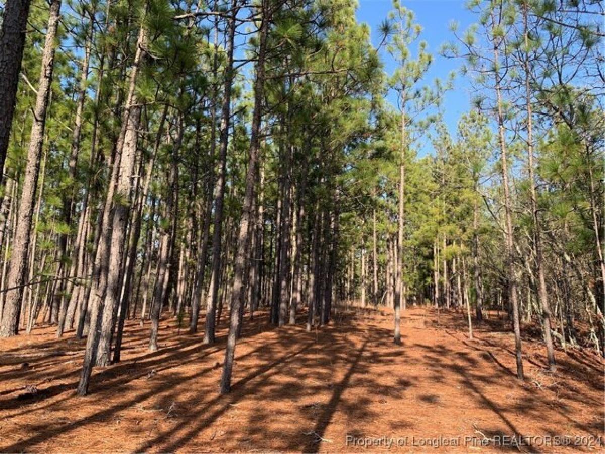 Picture of Residential Land For Sale in Aberdeen, North Carolina, United States