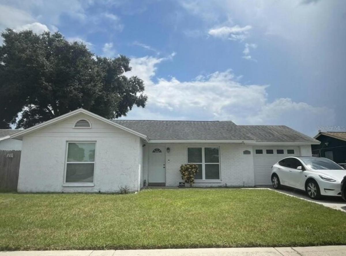 Picture of Home For Rent in New Port Richey, Florida, United States