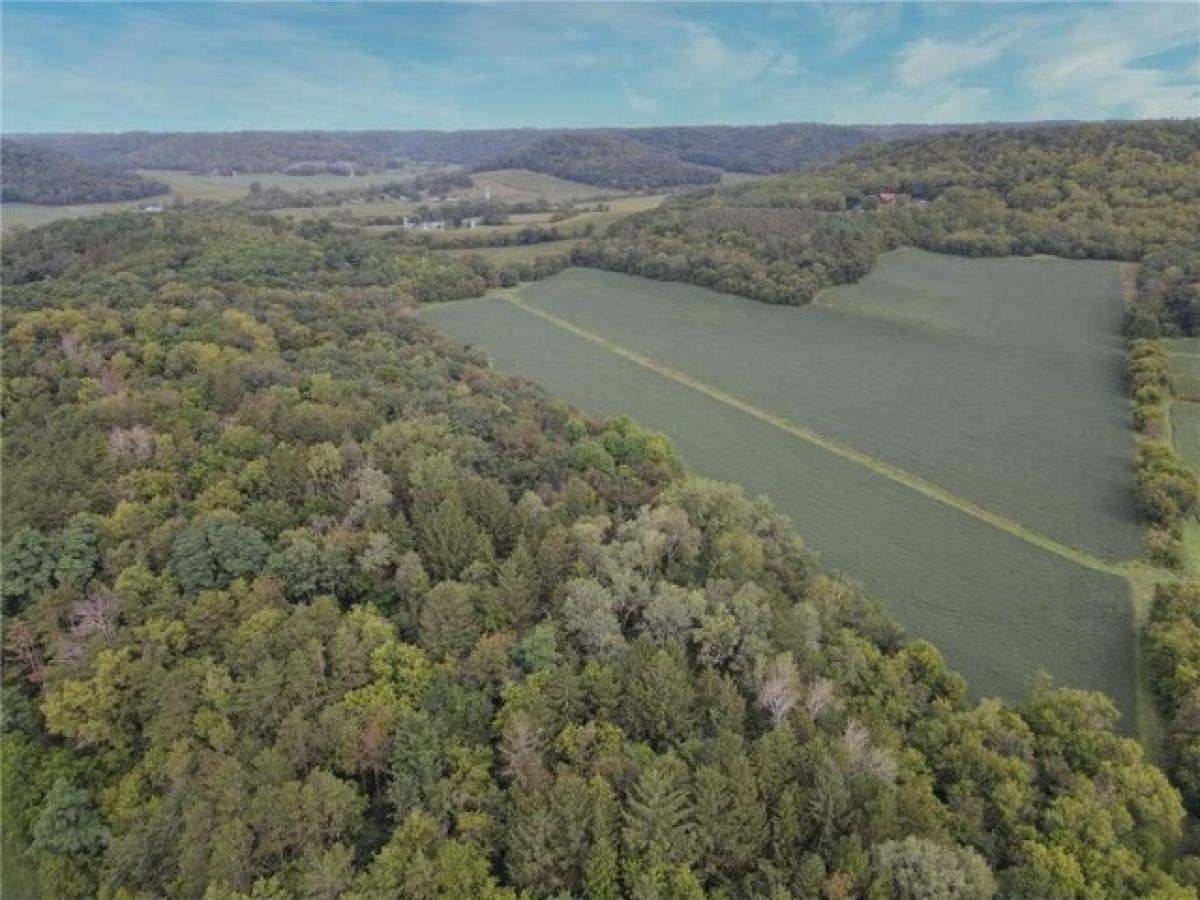 Picture of Residential Land For Sale in Pepin, Wisconsin, United States