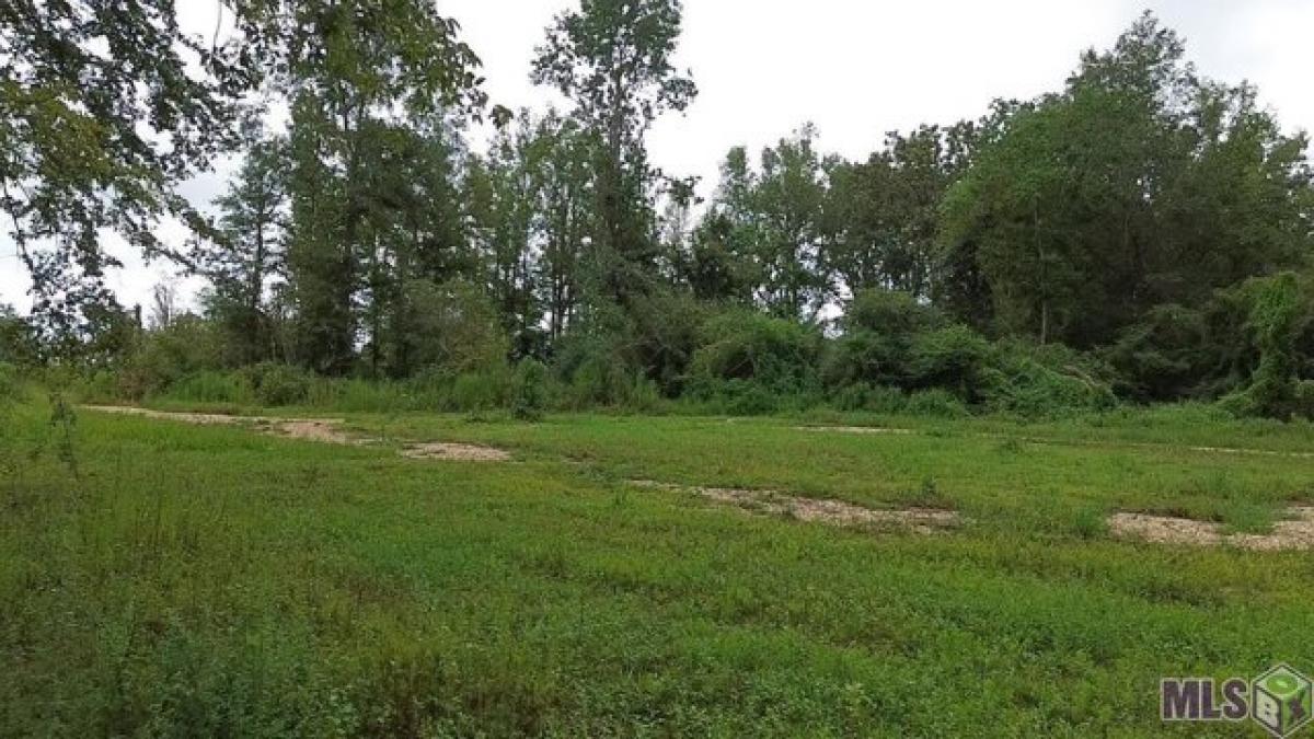 Picture of Residential Land For Sale in Amite, Louisiana, United States