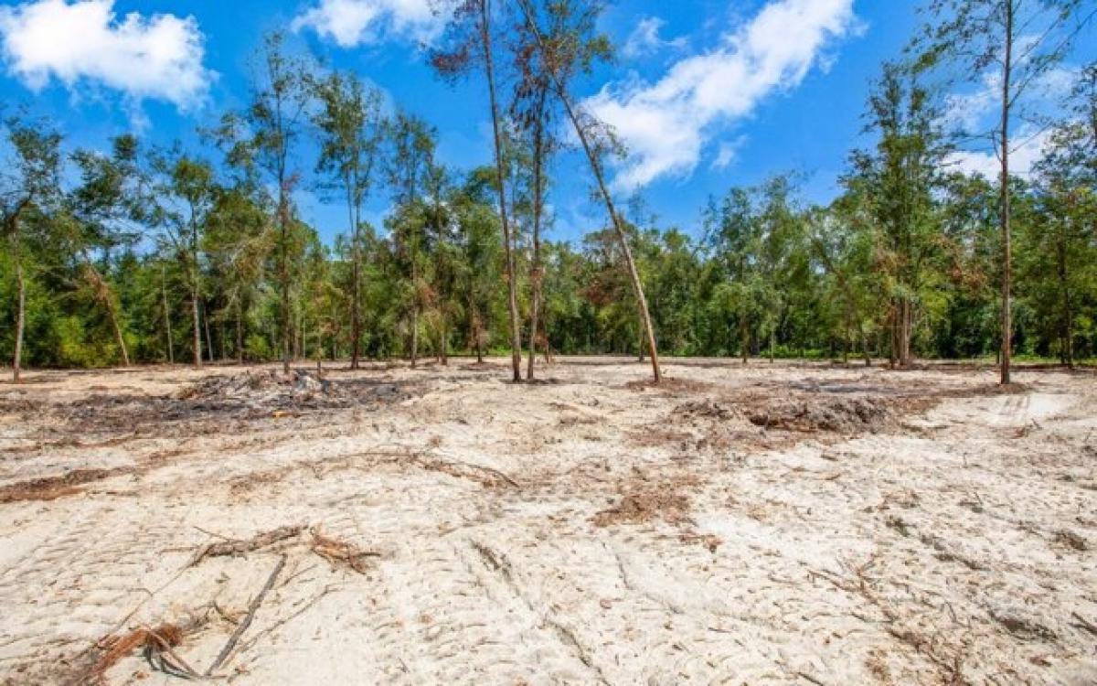 Picture of Residential Land For Sale in Jasper, Florida, United States