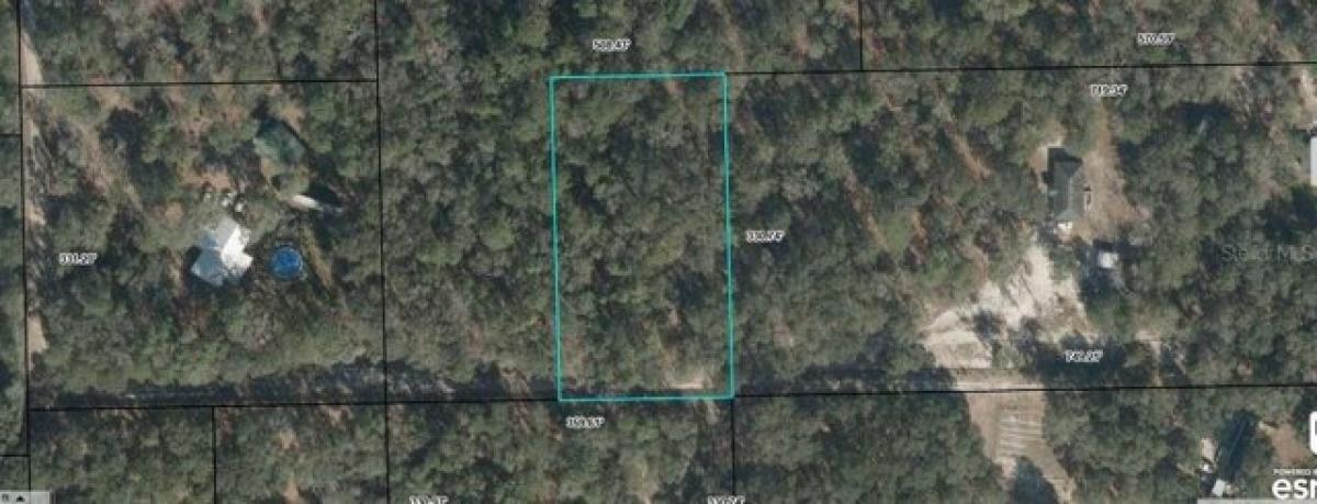 Picture of Residential Land For Sale in Bell, Florida, United States