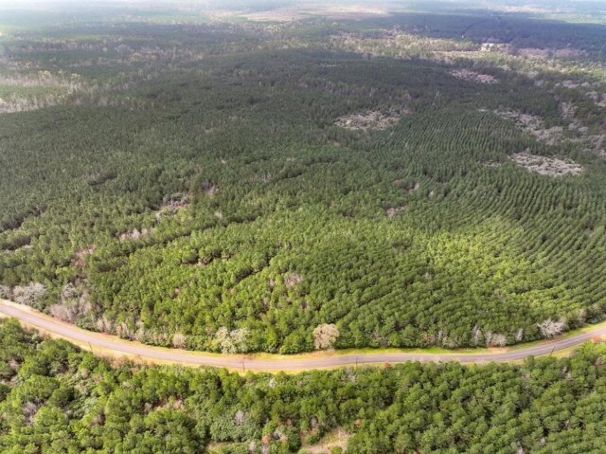 Picture of Residential Land For Sale in Latexo, Texas, United States