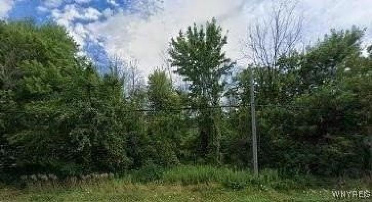 Picture of Residential Land For Sale in Lockport, New York, United States