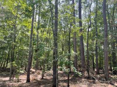 Residential Land For Sale in Livingston, Texas