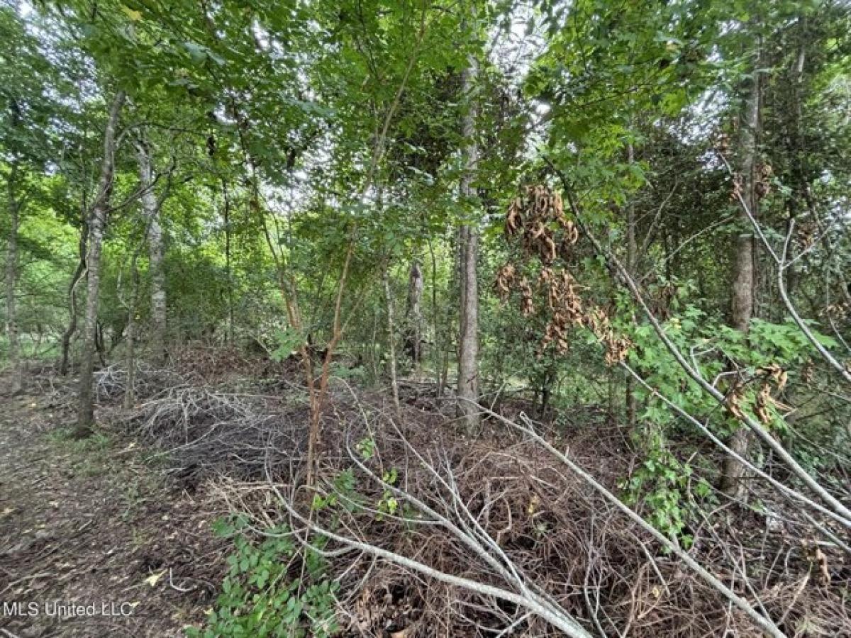 Picture of Residential Land For Sale in Madison, Mississippi, United States