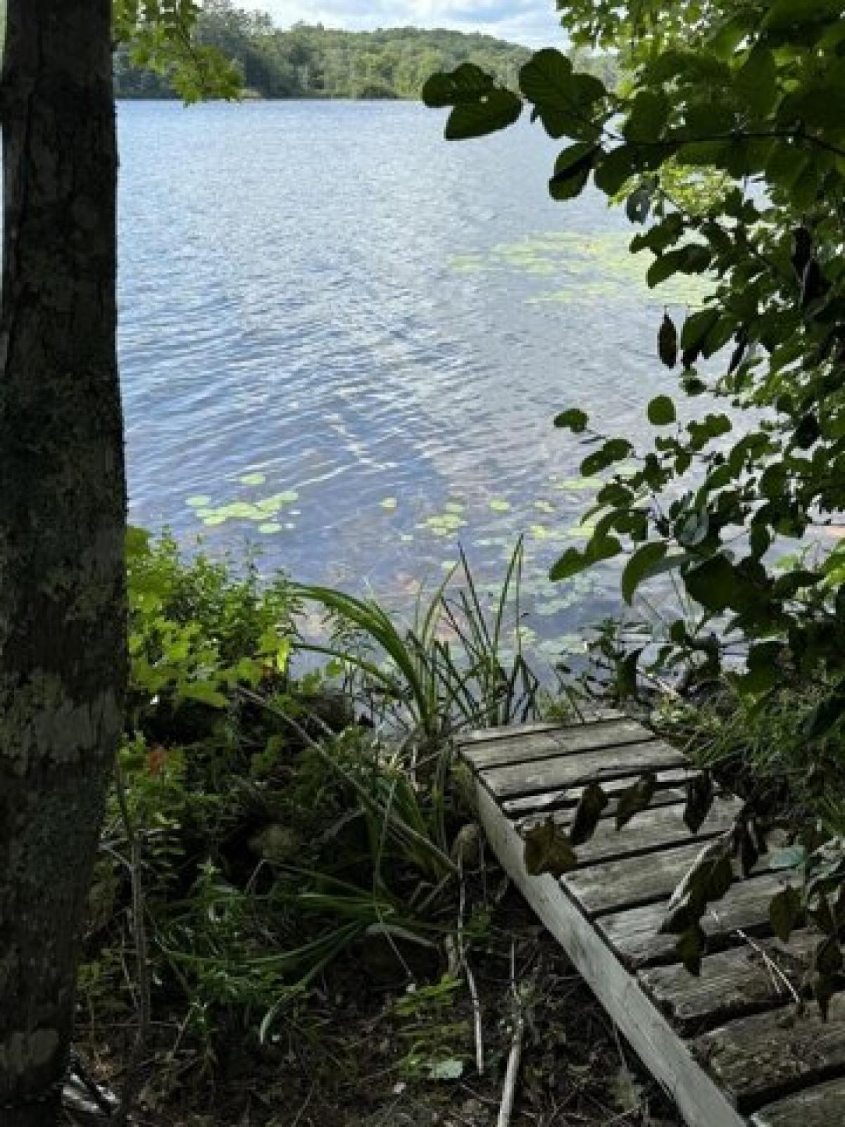 Picture of Residential Land For Sale in Bremen, Maine, United States