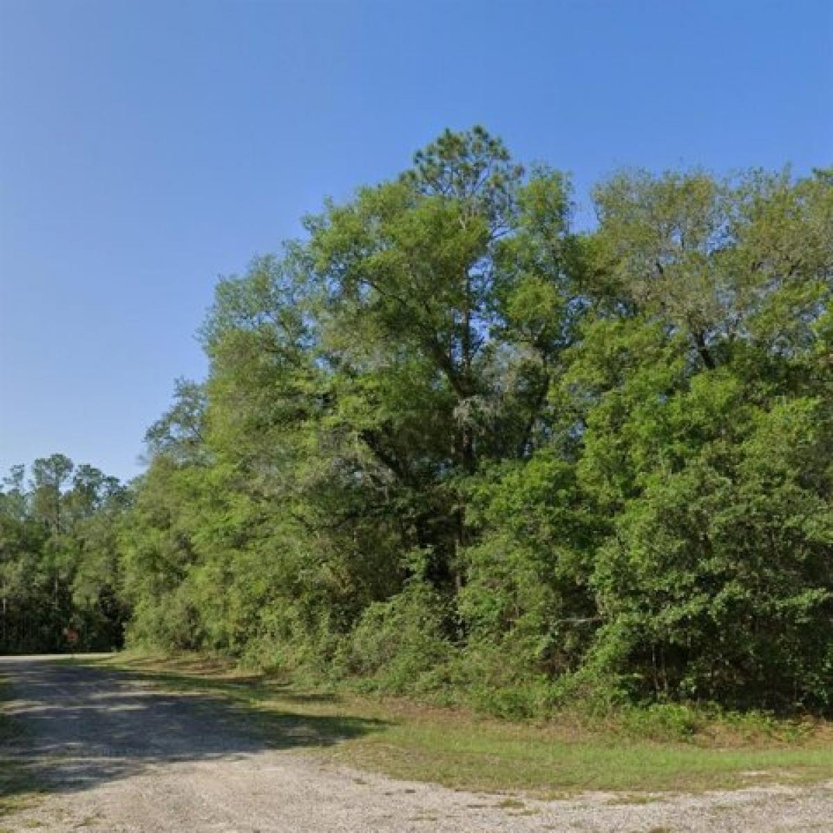 Picture of Residential Land For Sale in Citrus Springs, Florida, United States