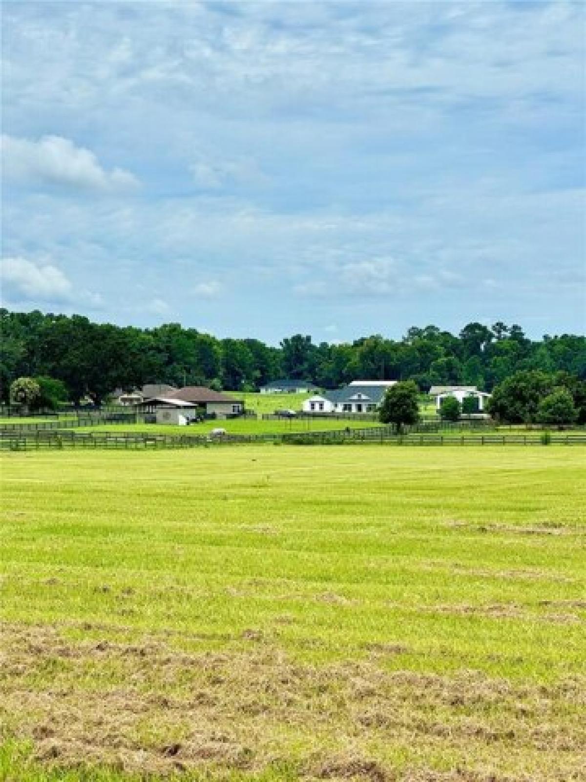 Picture of Residential Land For Sale in Belleview, Florida, United States