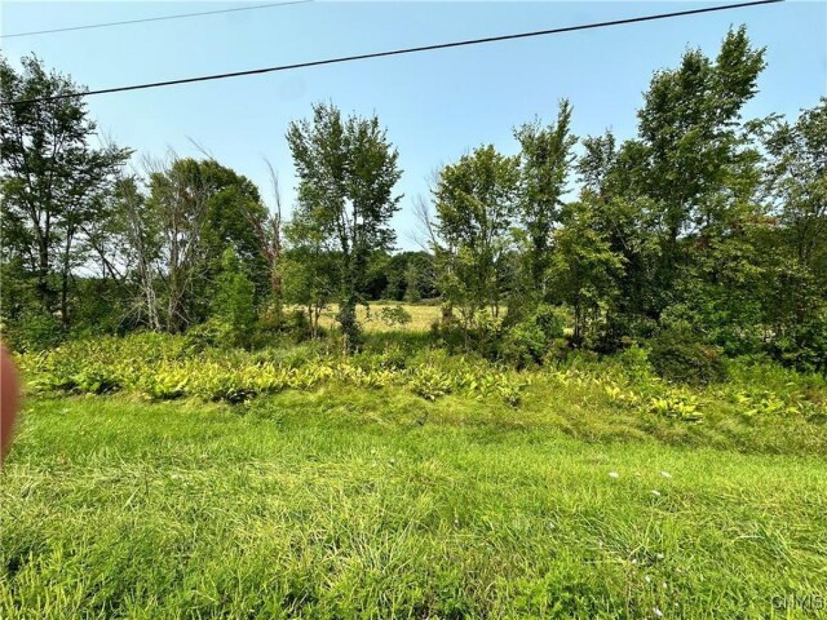 Picture of Residential Land For Sale in Hammond, New York, United States