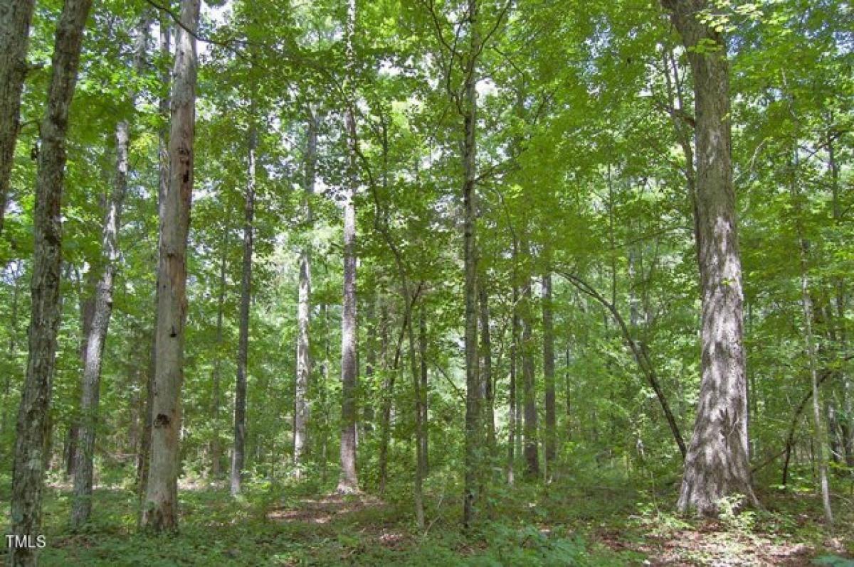 Picture of Residential Land For Sale in Pittsboro, North Carolina, United States