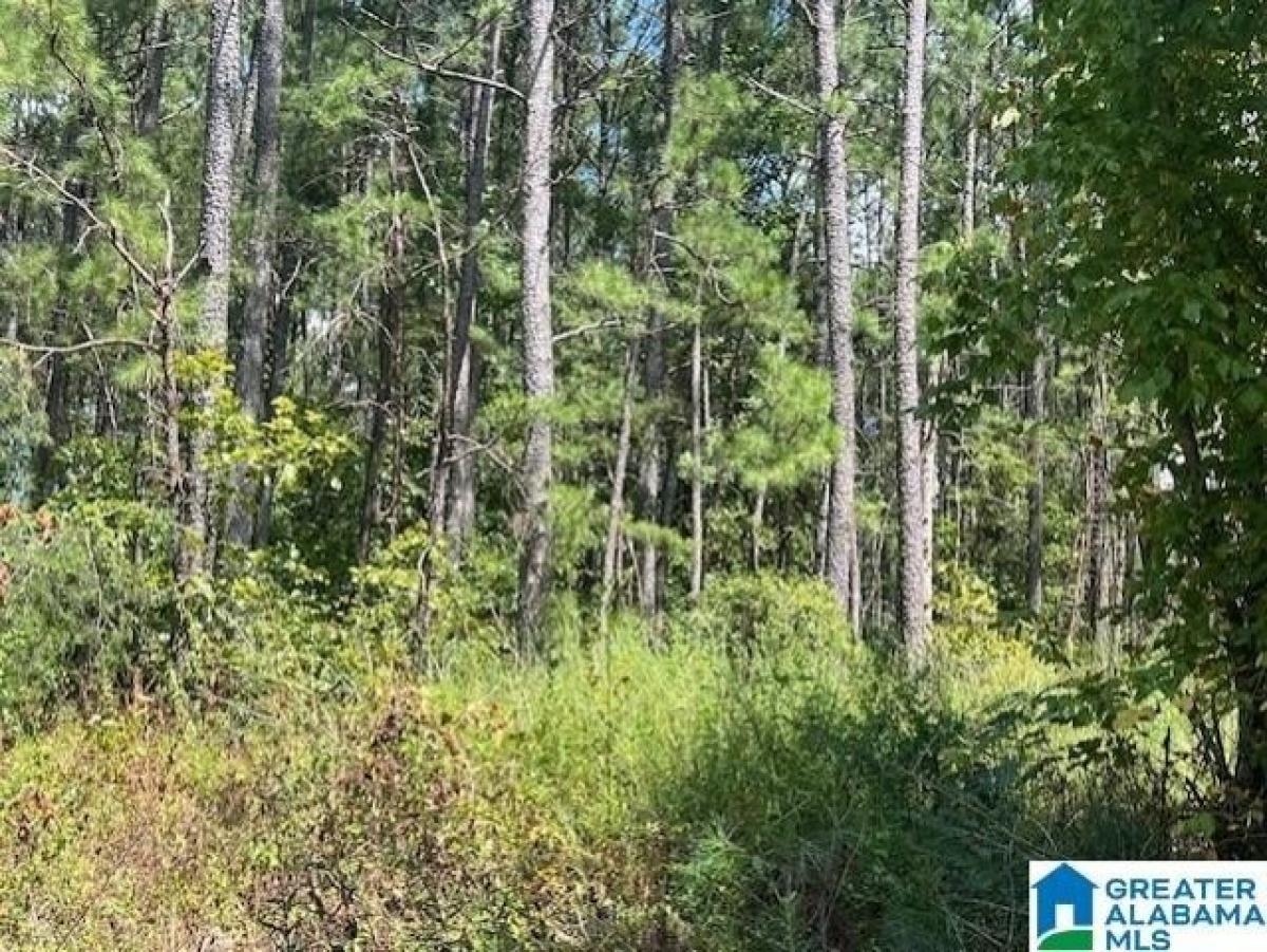 Picture of Residential Land For Sale in Gardendale, Alabama, United States