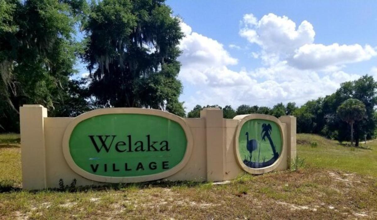 Picture of Residential Land For Sale in Welaka, Florida, United States