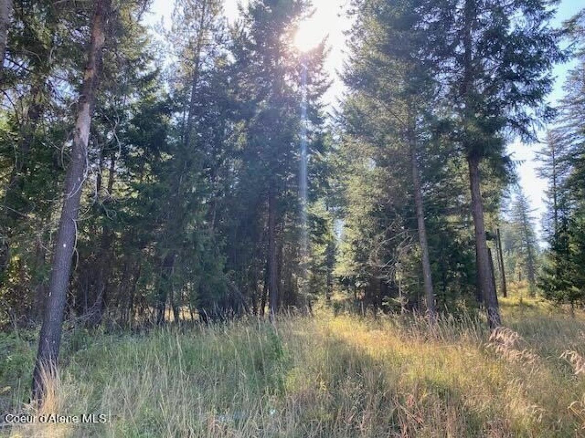 Picture of Residential Land For Sale in Rathdrum, Idaho, United States