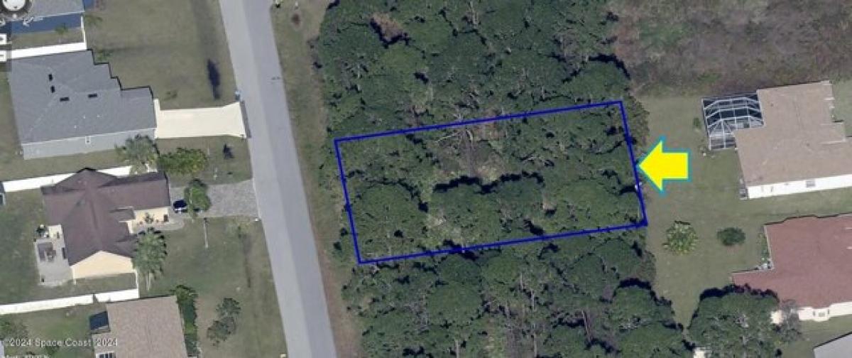 Picture of Residential Land For Sale in Palm Bay, Florida, United States