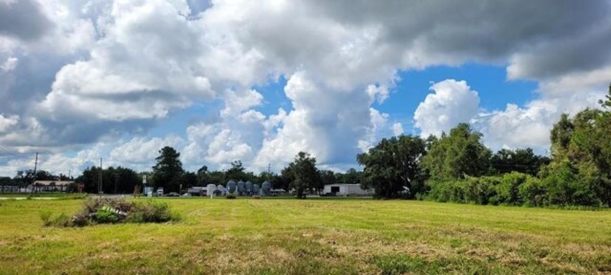 Picture of Residential Land For Sale in Chiefland, Florida, United States