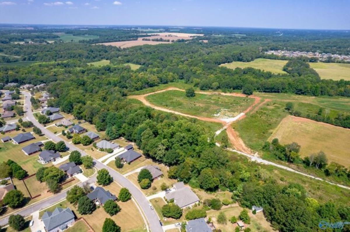 Picture of Residential Land For Sale in New Market, Alabama, United States