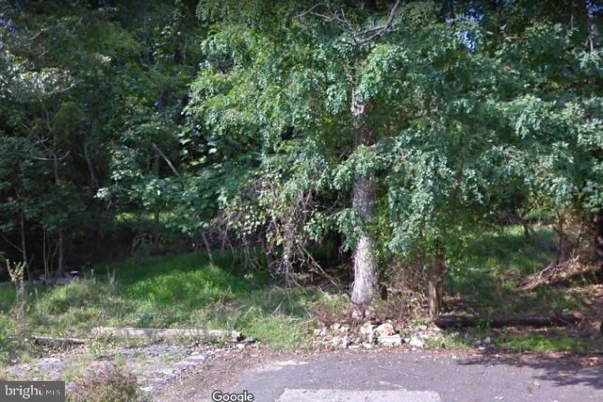 Picture of Residential Land For Sale in Catonsville, Maryland, United States