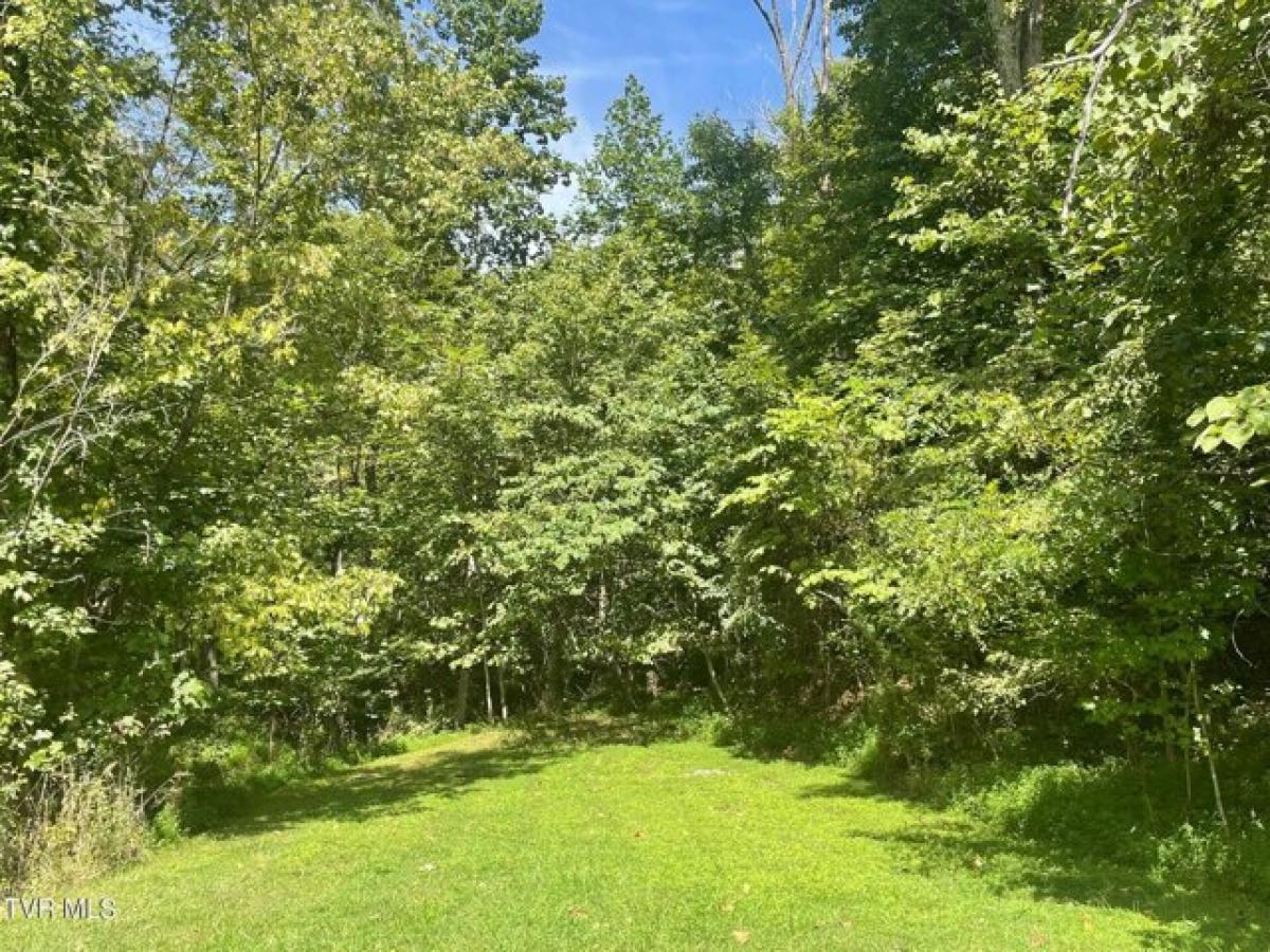 Picture of Residential Land For Sale in Kingsport, Tennessee, United States