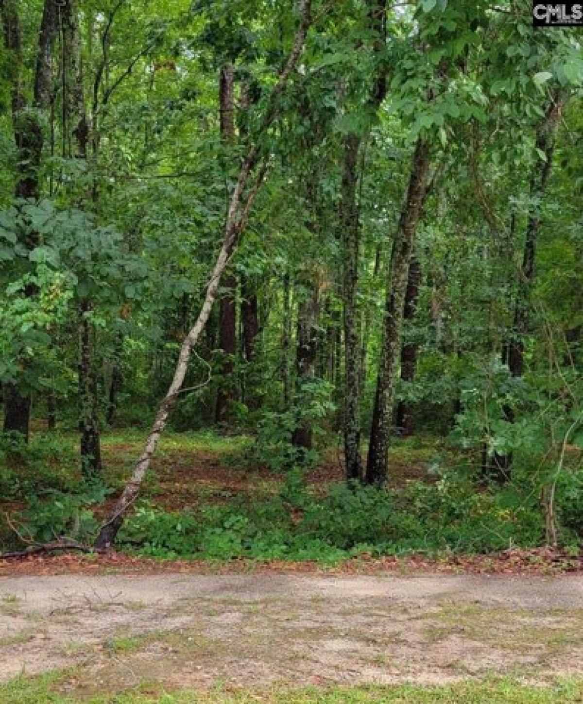 Picture of Residential Land For Sale in Manning, South Carolina, United States