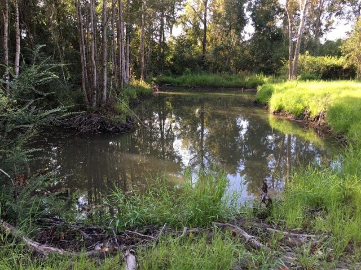 Picture of Residential Land For Sale in Slocomb, Alabama, United States