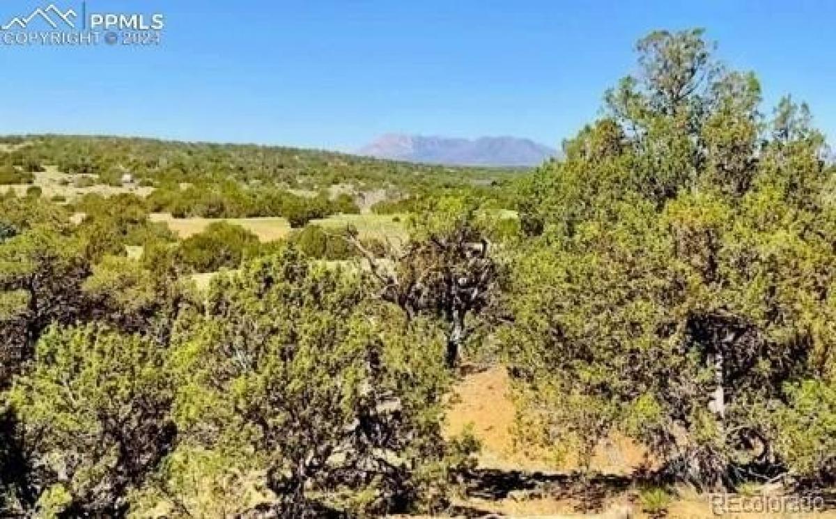 Picture of Residential Land For Sale in Walsenburg, Colorado, United States