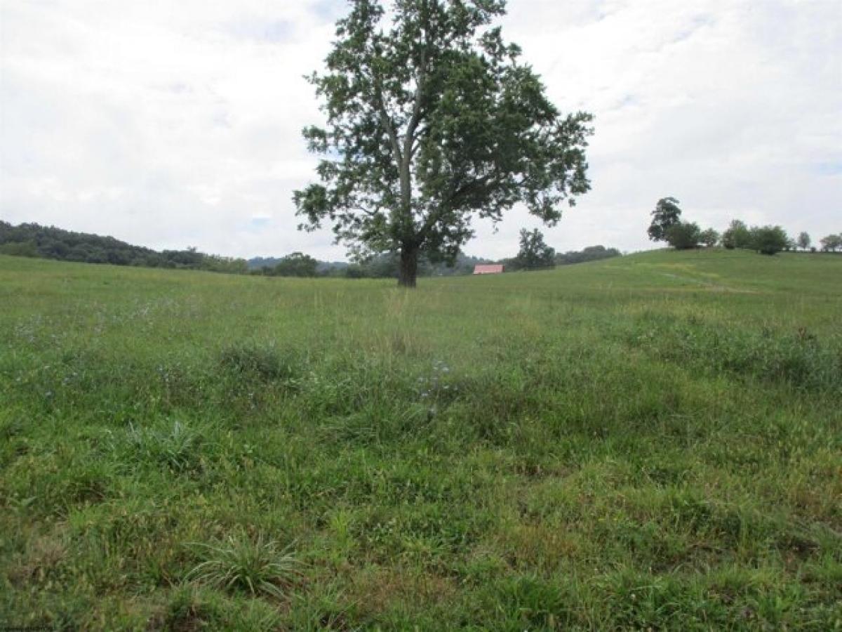 Picture of Residential Land For Sale in Buckhannon, West Virginia, United States