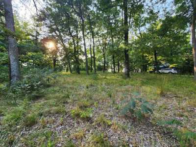 Residential Land For Sale in Mentone, Alabama