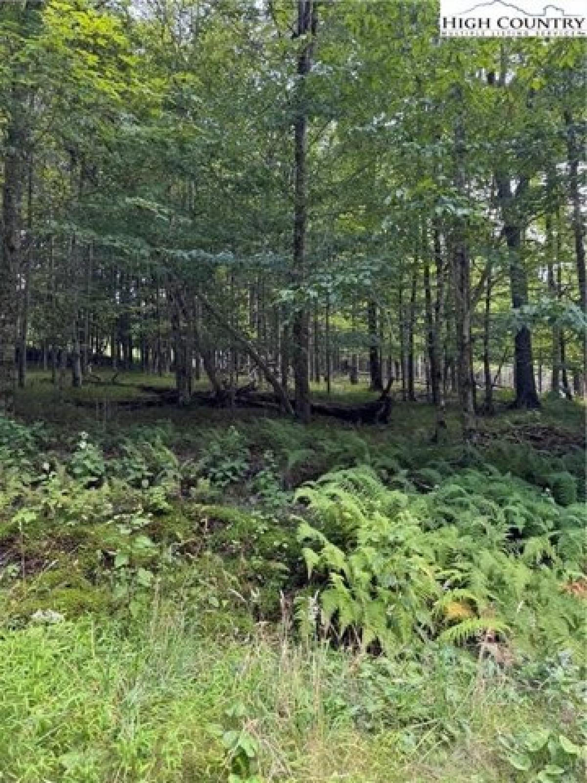 Picture of Residential Land For Sale in Beech Mountain, North Carolina, United States