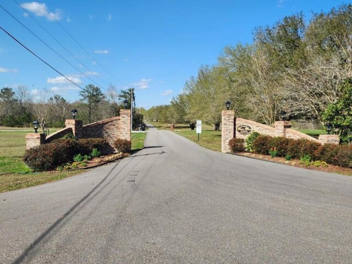 Picture of Residential Land For Sale in Carriere, Mississippi, United States