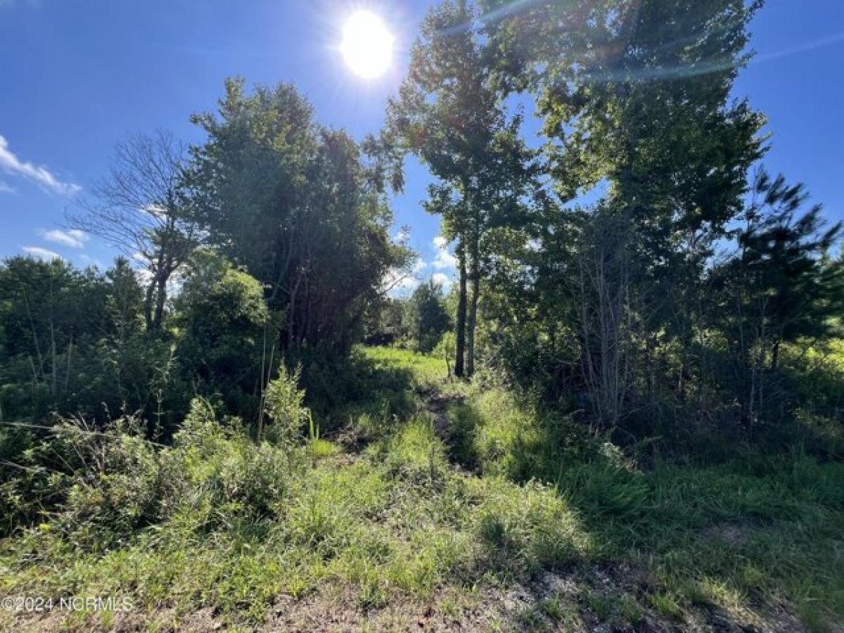 Picture of Residential Land For Sale in New Bern, North Carolina, United States