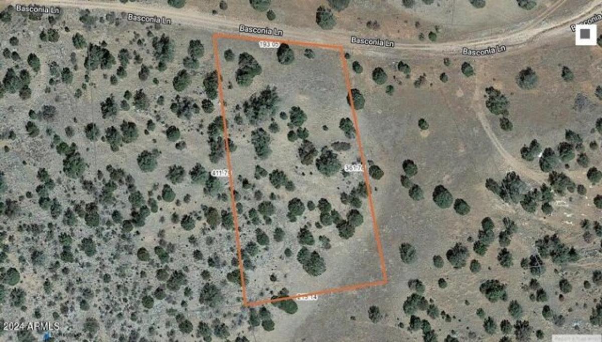 Picture of Residential Land For Sale in Seligman, Arizona, United States