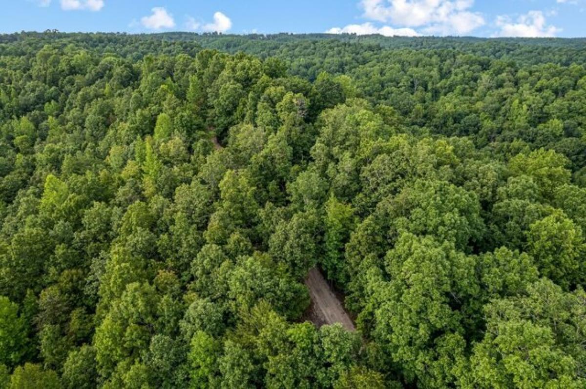 Picture of Residential Land For Sale in Linden, Tennessee, United States