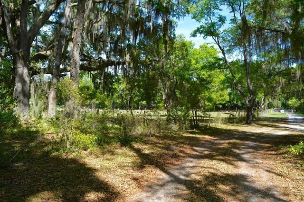 Picture of Home For Sale in Citra, Florida, United States