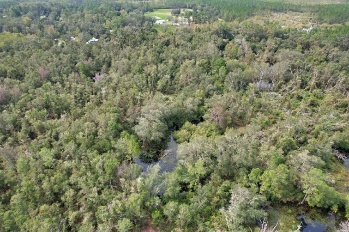 Picture of Residential Land For Sale in Mayo, Florida, United States