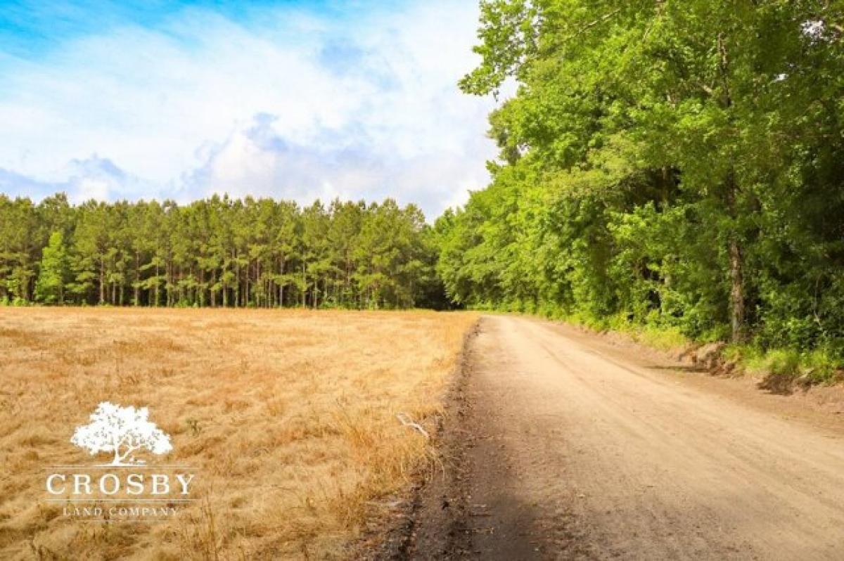 Picture of Residential Land For Sale in Summerton, South Carolina, United States