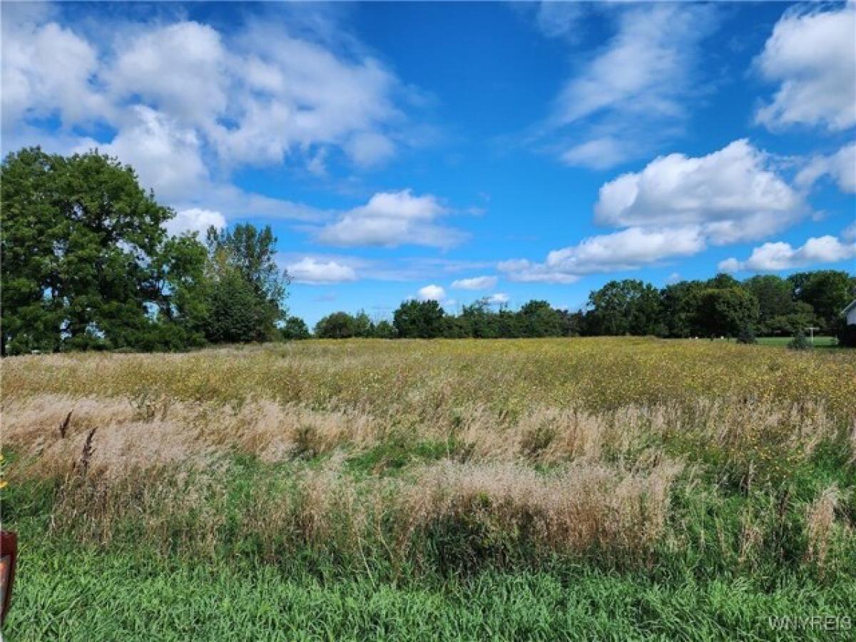 Picture of Residential Land For Sale in Medina, New York, United States