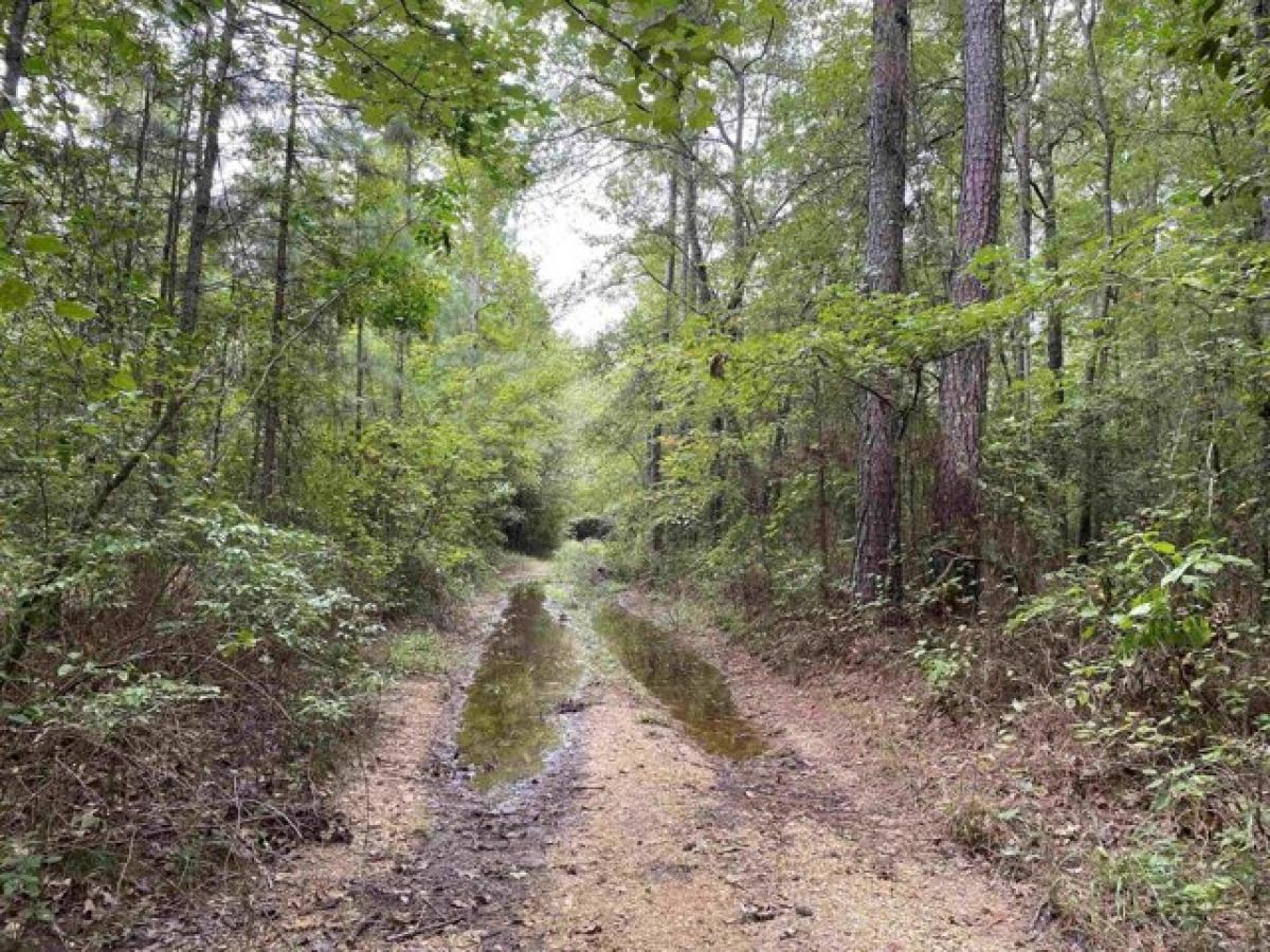 Picture of Residential Land For Sale in White Hall, Arkansas, United States