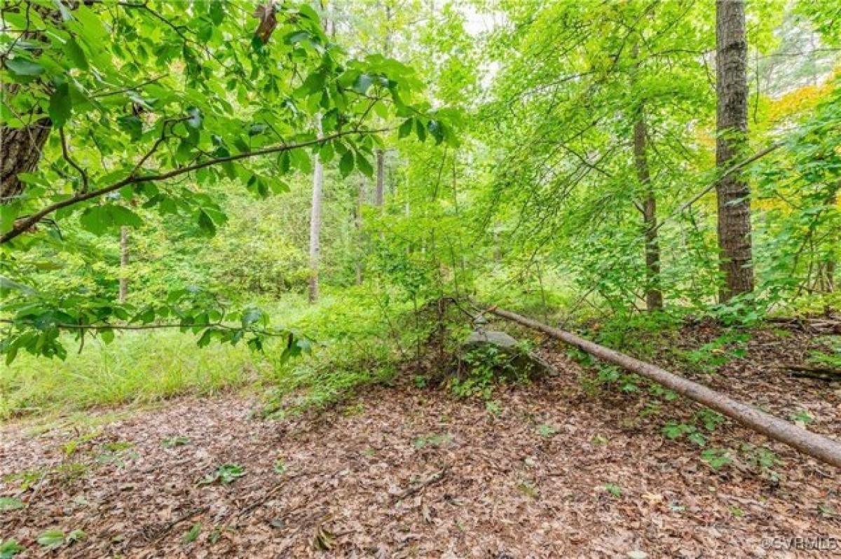 Picture of Residential Land For Sale in Goochland, Virginia, United States