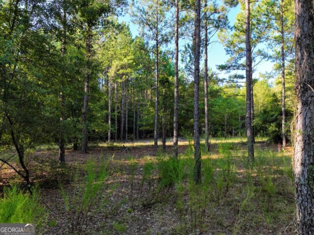 Picture of Residential Land For Sale in Warthen, Georgia, United States