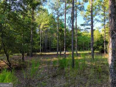 Residential Land For Sale in Warthen, Georgia