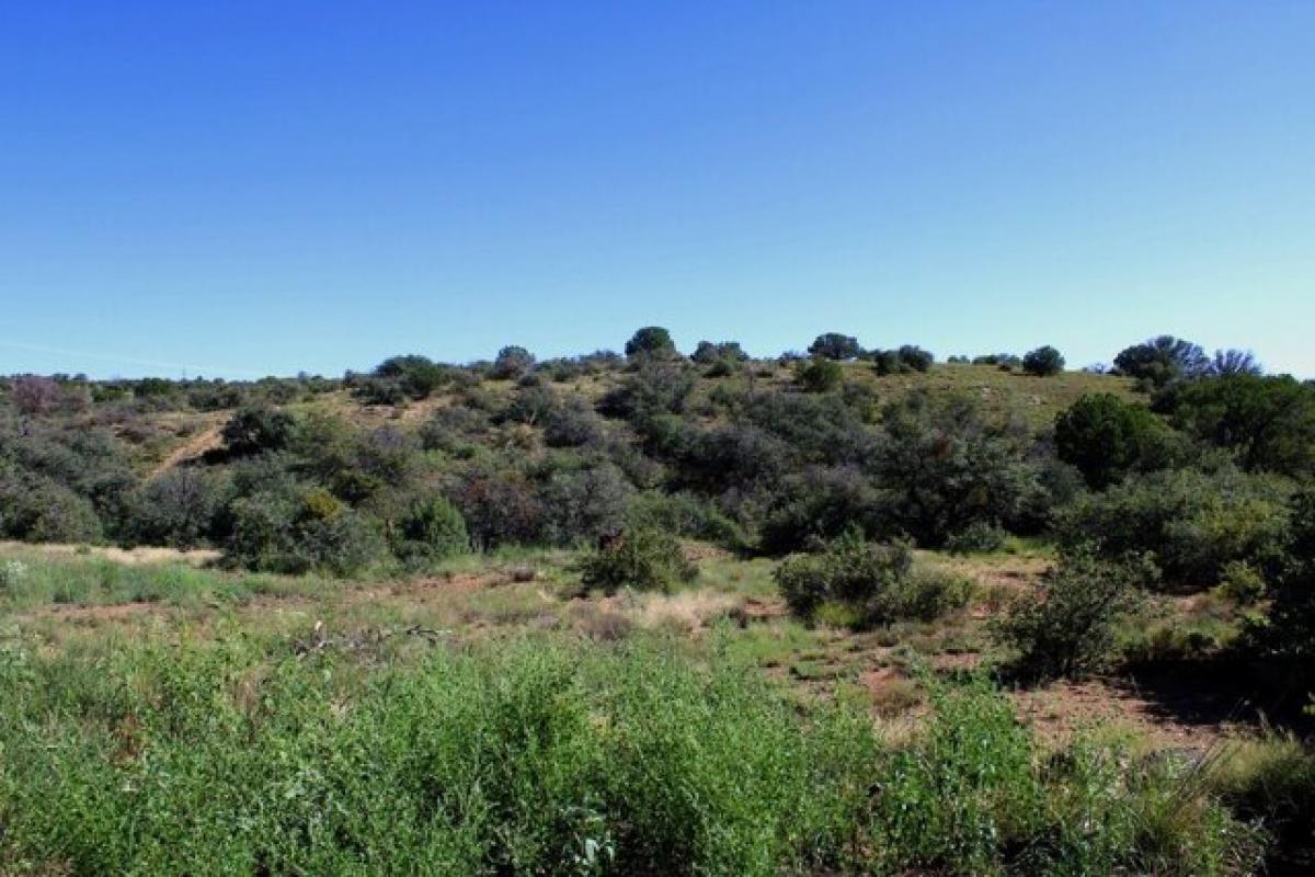 Picture of Residential Land For Sale in Silver City, New Mexico, United States