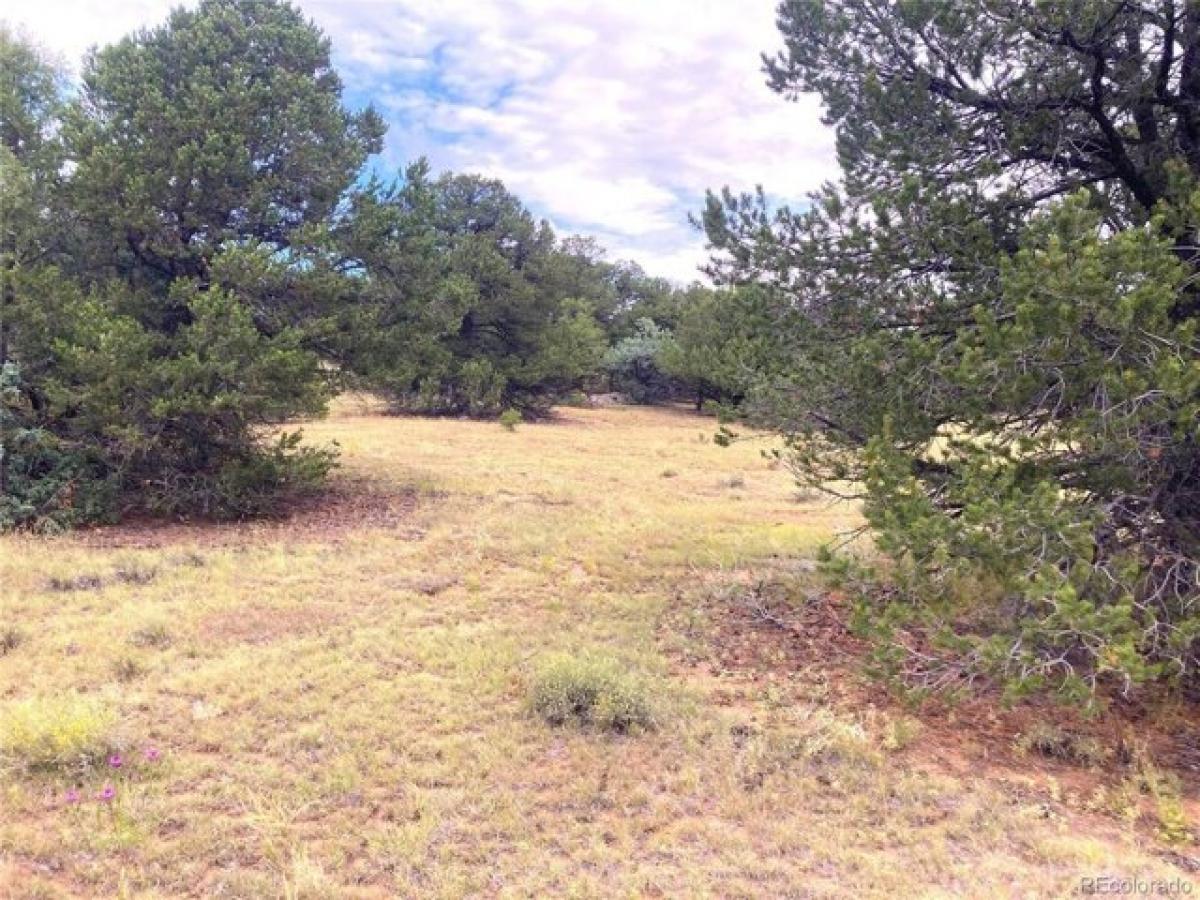 Picture of Residential Land For Sale in Cotopaxi, Colorado, United States