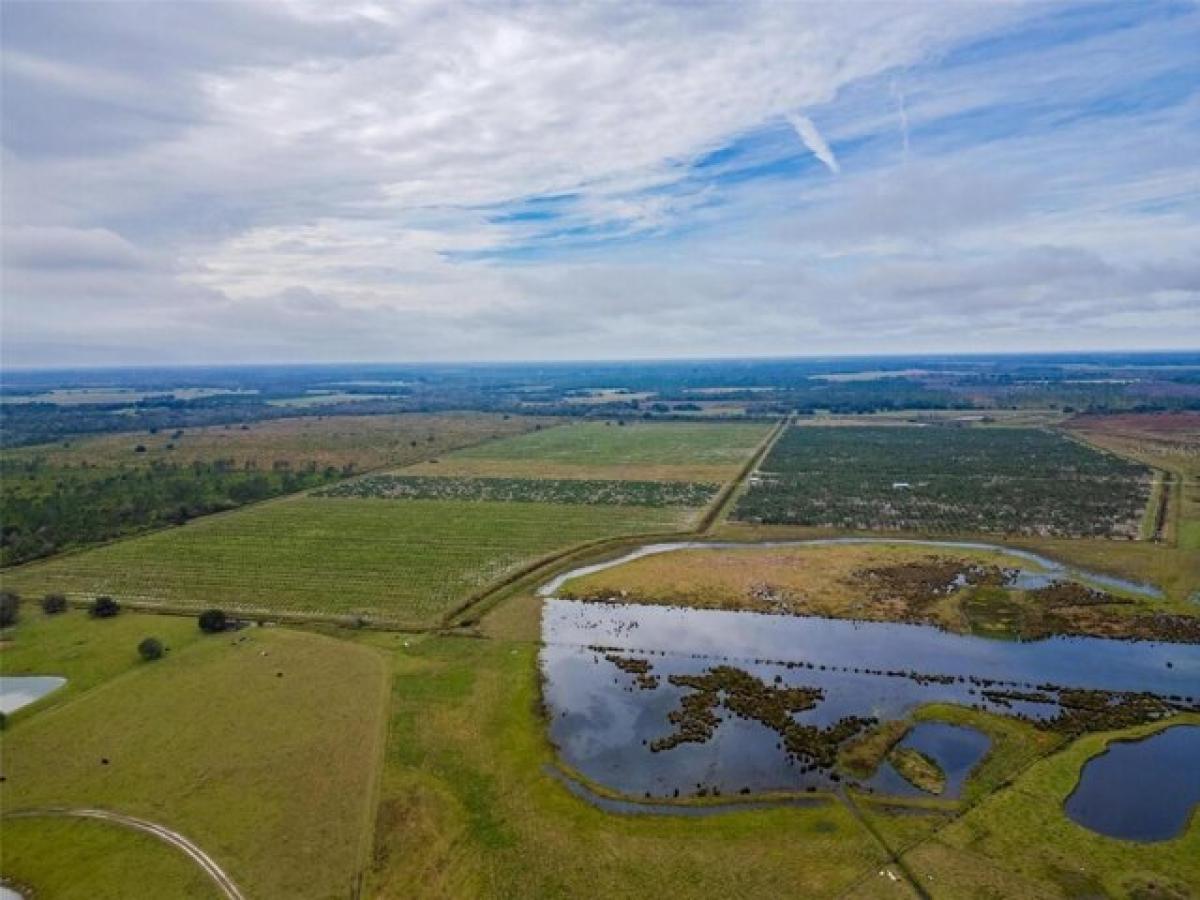 Picture of Residential Land For Sale in Zolfo Springs, Florida, United States