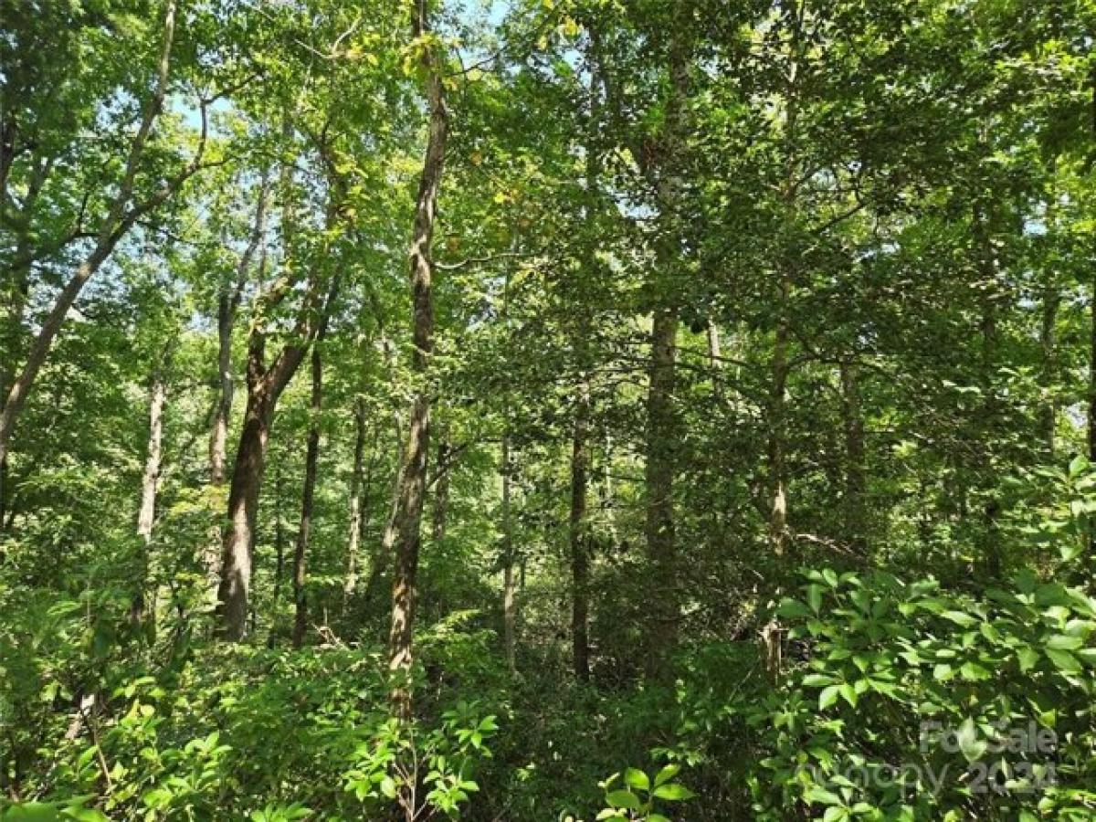 Picture of Residential Land For Sale in Lake Lure, North Carolina, United States