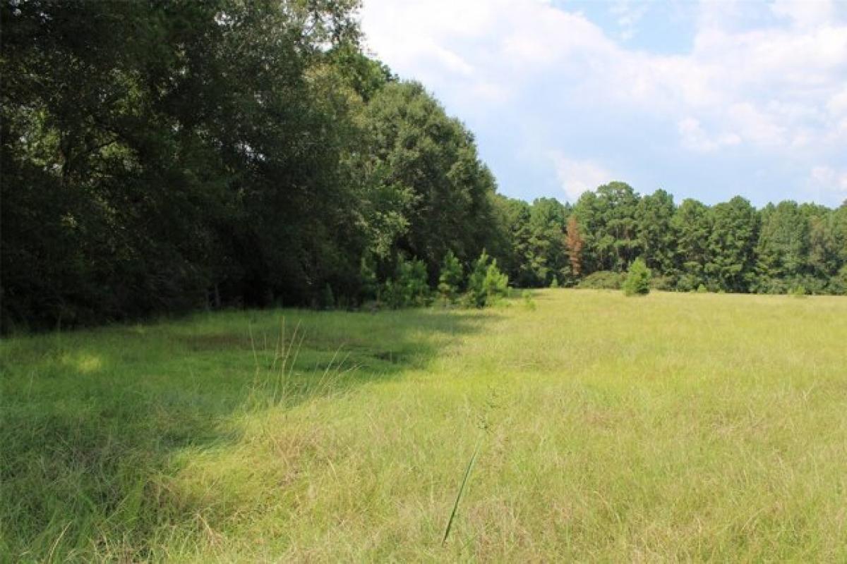 Picture of Residential Land For Sale in Fred, Texas, United States