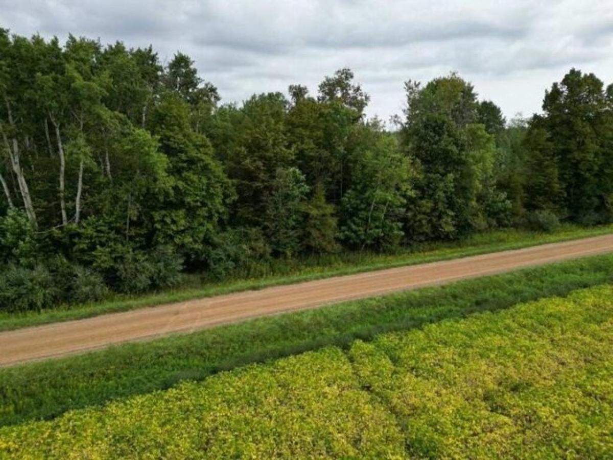 Picture of Residential Land For Sale in Ubly, Michigan, United States