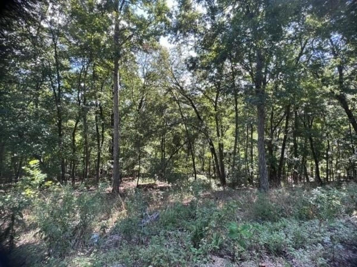 Picture of Residential Land For Rent in Holiday Island, Arkansas, United States