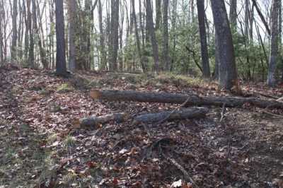 Residential Land For Sale in Max Meadows, Virginia