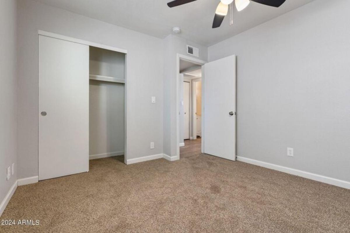 Picture of Apartment For Rent in Glendale, Arizona, United States